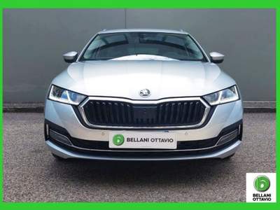 Skoda Octavia 2.0 TDI SCR 150 CV DSG Wagon Executive Argento usata Feltre