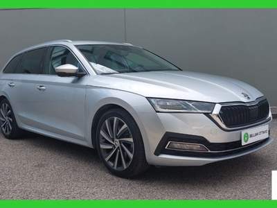 Skoda Octavia 2.0 TDI SCR 150 CV DSG Wagon Executive Argento usata Feltre
