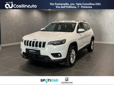 Jeep Cherokee 2.2 Mjt II 4WD 195Cv Longitude Bianco usata Sala Consilina