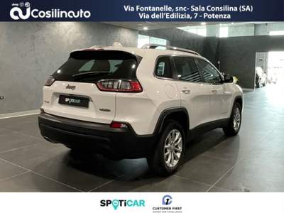 Jeep Cherokee 2.2 Mjt II 4WD 195Cv Longitude Bianco usata Sala Consilina