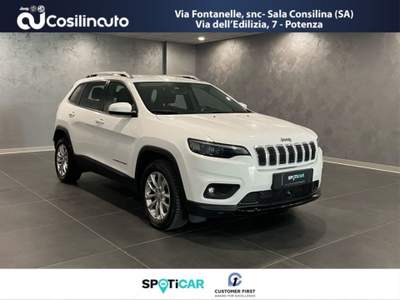 Jeep Cherokee 2.2 Mjt II 4WD 195Cv Longitude Bianco usata Sala Consilina