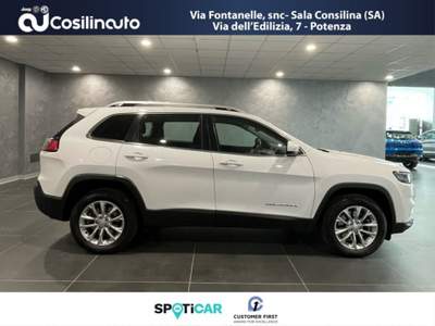 Jeep Cherokee 2.2 Mjt II 4WD 195Cv Longitude Bianco usata Sala Consilina