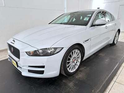 Jaguar XE 2.0d Prestige Business edition 163cv auto Bianco usata Pescara