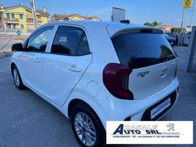 Kia Picanto  Bianco usata Casalserugo