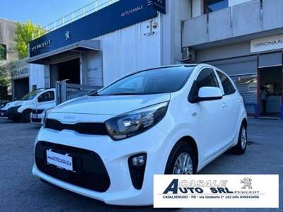 Kia Picanto  Bianco usata Casalserugo