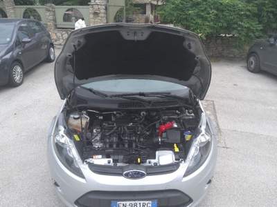 Ford Fiesta IKON- GPL A47 Argento usata Palazzo San Gervasio