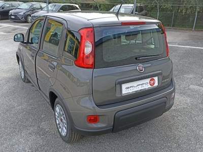 Fiat Panda 1.0 FireFly S&S Hybrid Grigio usata Porcia