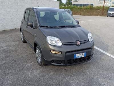 Fiat Panda 1.0 FireFly S&S Hybrid Grigio usata Porcia
