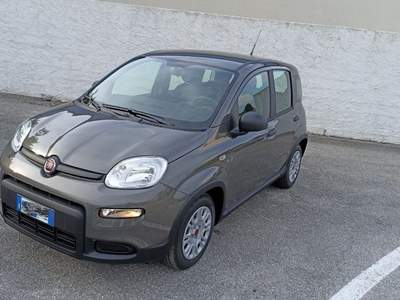 Fiat Panda 1.0 FireFly S&S Hybrid Grigio usata Porcia