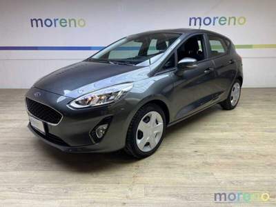 Ford Fiesta 1.1 Connect GPL s&s 75 CV Grigio usata Faenza