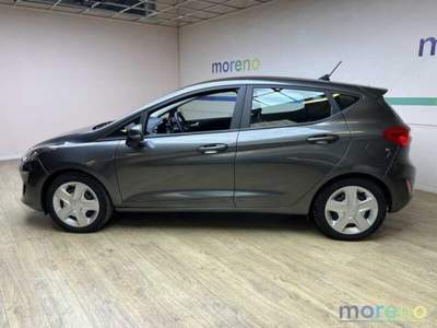 Ford Fiesta 1.1 Connect GPL s&s 75 CV Grigio usata Faenza
