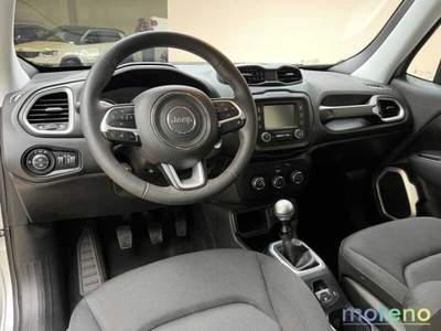 Jeep Renegade 1.6 e-torq 110 CV evo Sport 2WD Argento usata Faenza