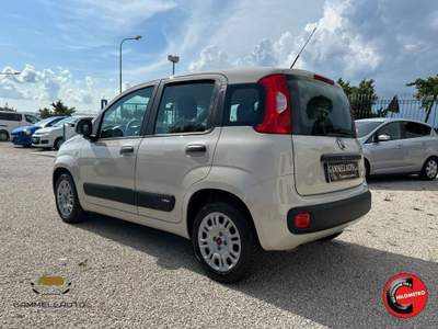 Fiat Panda 1.2 Pop 69cv Beige usata Pollena Trocchia