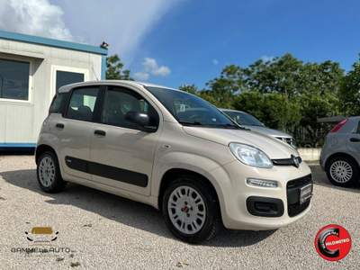 Fiat Panda 1.2 Pop 69cv Beige usata Pollena Trocchia