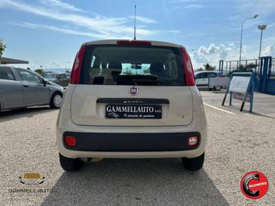 Fiat Panda 1.2 Pop 69cv Beige usata Pollena Trocchia