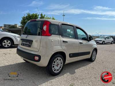 Fiat Panda 1.2 Pop 69cv Beige usata Pollena Trocchia