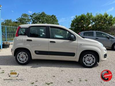 Fiat Panda 1.2 Pop 69cv Beige usata Pollena Trocchia