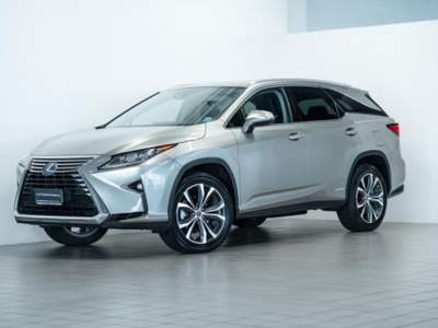 Lexus RX RX L Hybrid Executive Argento usata Vicenza