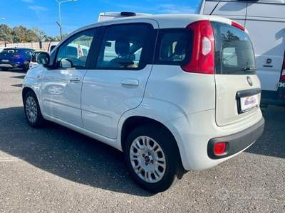 Fiat Panda Ideale per neopatentati Bianco usata Lamezia Terme