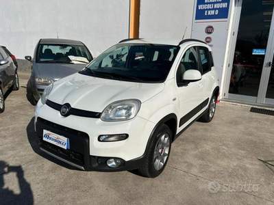 Fiat Panda Condizioni ottime Bianco usata Lamezia Terme