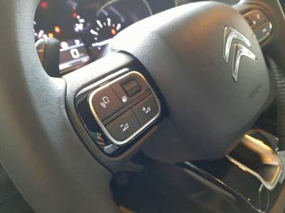 Citroen Berlingo PureTech 130 Stop&Start EAT8 XL 7 posti Shine Beige usata Castelnuovo Rangone