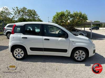 Fiat Panda 1.3 Mjt S&S Pop 75cv Bianco usata Pollena Trocchia