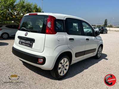 Fiat Panda 1.3 Mjt S&S Pop 75cv Bianco usata Pollena Trocchia