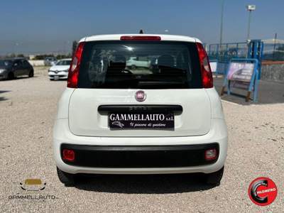 Fiat Panda 1.3 Mjt S&S Pop 75cv Bianco usata Pollena Trocchia