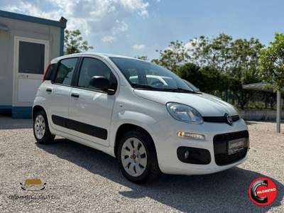 Fiat Panda 1.3 Mjt S&S Pop 75cv Bianco usata Pollena Trocchia