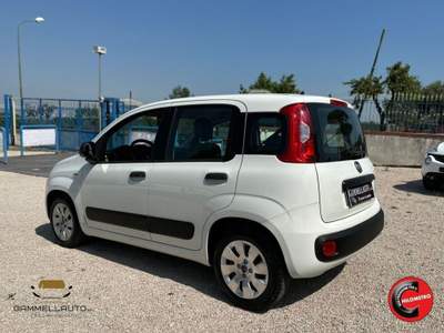 Fiat Panda 1.3 Mjt S&S Pop 75cv Bianco usata Pollena Trocchia