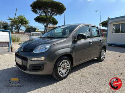 Fiat Panda 1.2 Easy 69cv Grigio usata Pollena Trocchia