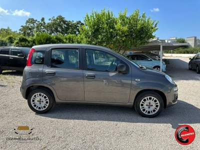Fiat Panda 1.2 Easy 69cv Grigio usata Pollena Trocchia