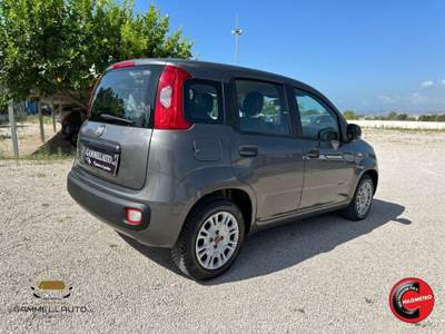 Fiat Panda 1.2 Easy 69cv Grigio usata Pollena Trocchia