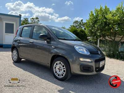Fiat Panda 1.2 Easy 69cv Grigio usata Pollena Trocchia