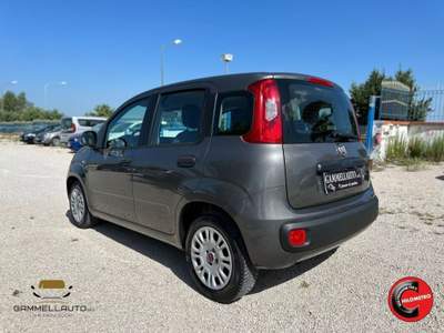 Fiat Panda 1.2 Easy 69cv Grigio usata Pollena Trocchia