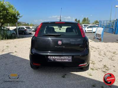Fiat Punto 1.2 5p Street 69cv Nero usata Pollena Trocchia