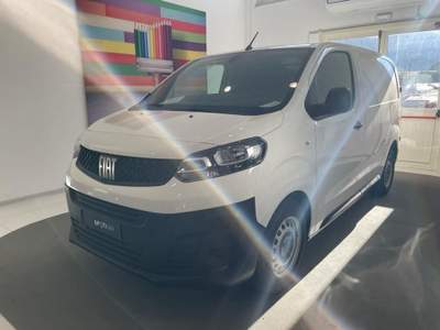 Fiat Scudo 1.5 BlueHDi 120CV PL-TN Furgone Business Bianco usata Palermo