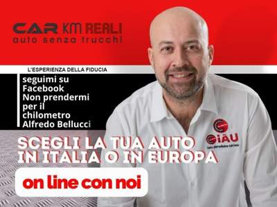 Volkswagen Polo 2.0 TSI DSG GTI Bianco usata Orbassano
