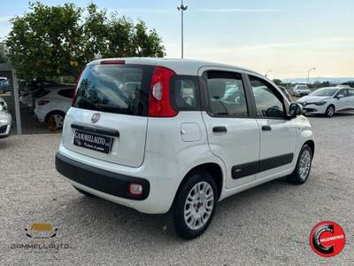 Fiat Panda 1.3 Mjt S&S Easy 95cv Bianco usata Pollena Trocchia
