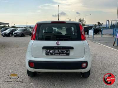 Fiat Panda 1.3 Mjt S&S Easy 95cv Bianco usata Pollena Trocchia