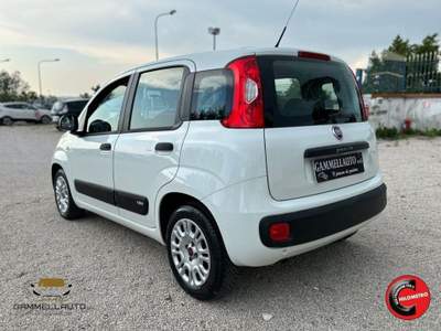 Fiat Panda 1.3 Mjt S&S Easy 95cv Bianco usata Pollena Trocchia