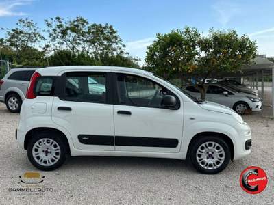 Fiat Panda 1.3 Mjt S&S Easy 95cv Bianco usata Pollena Trocchia