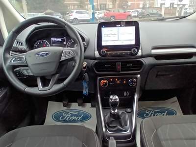 Ford EcoSport VERSIONE PLUS - GARANZIA UFFICIALE FORD Grigio usata Casalmorano