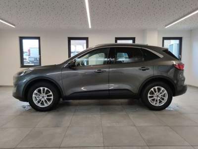 Ford Kuga 1.5 EcoBoost 150 CV 2WD Titanium Grigio usata Castelnuovo Rangone