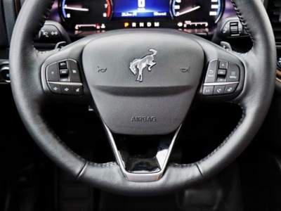 Ford Bronco Sport 2.0 253 CV Nero usata Castelnuovo Rangone