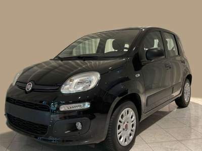 Fiat Panda 1.2 Easy Nero usata Nogaredo