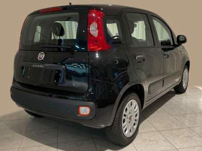 Fiat Panda 1.2 Easy Nero usata Nogaredo