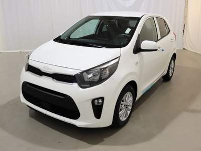 Kia Picanto 1.0 12V 5 porte AMT Vision Bianco usata Castelnuovo Rangone
