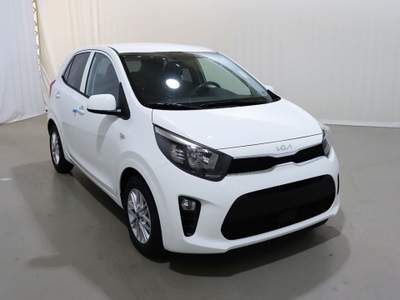 Kia Picanto 1.0 12V 5 porte AMT Vision Bianco usata Castelnuovo Rangone