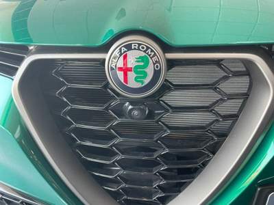 Alfa Romeo Tonale 1.3 280CV PHEV AT6 Q4 Speciale Verde usata Palermo